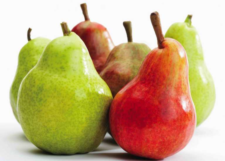 Presupuestos y comparativos. Peras vs peras.